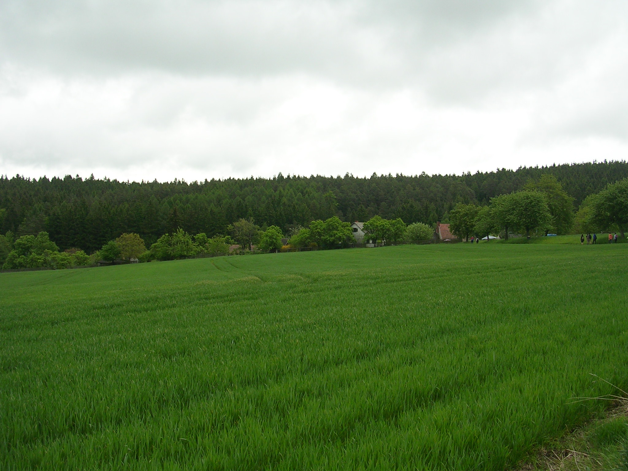 Žandavka: chalupy na okraji lesa za zeleným polem, fotografie z roku 2009